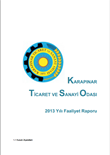 2013 Faaliyet Raporu